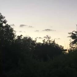 Abendliche Gesänge der Moscheen