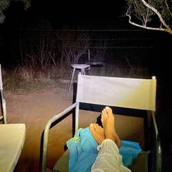 African Nights are the best