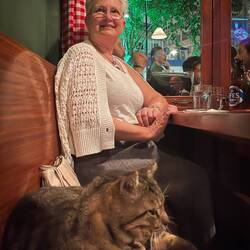 Ozzie is the pub's resident cat, who makes himself comfortable anywhere he likes — Alsancak, İzmir.
