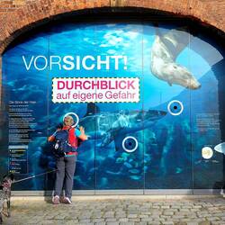 Hier gab's auch die Ausstellung "Körperwelten" zu sehen!