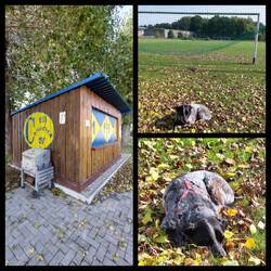 Pause am Neiße Stadion vom Coschener SV!