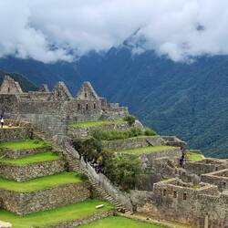 The religious section