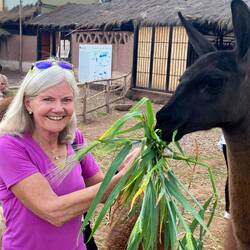 Do you think they starved them before . . . .