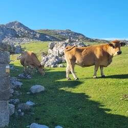 Kurz vor dem Refugio...