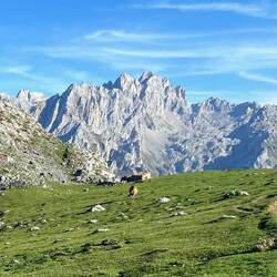 Blick auf den Torre Cerrado (mit flachem Gipfel) und seine Kumpels!