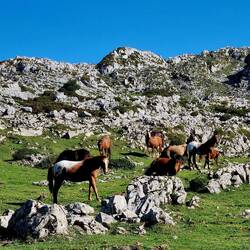 Gleich reitet Winnetou ins Bild!😉