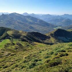 ... in eine andere Welt. Sooo grün!😊