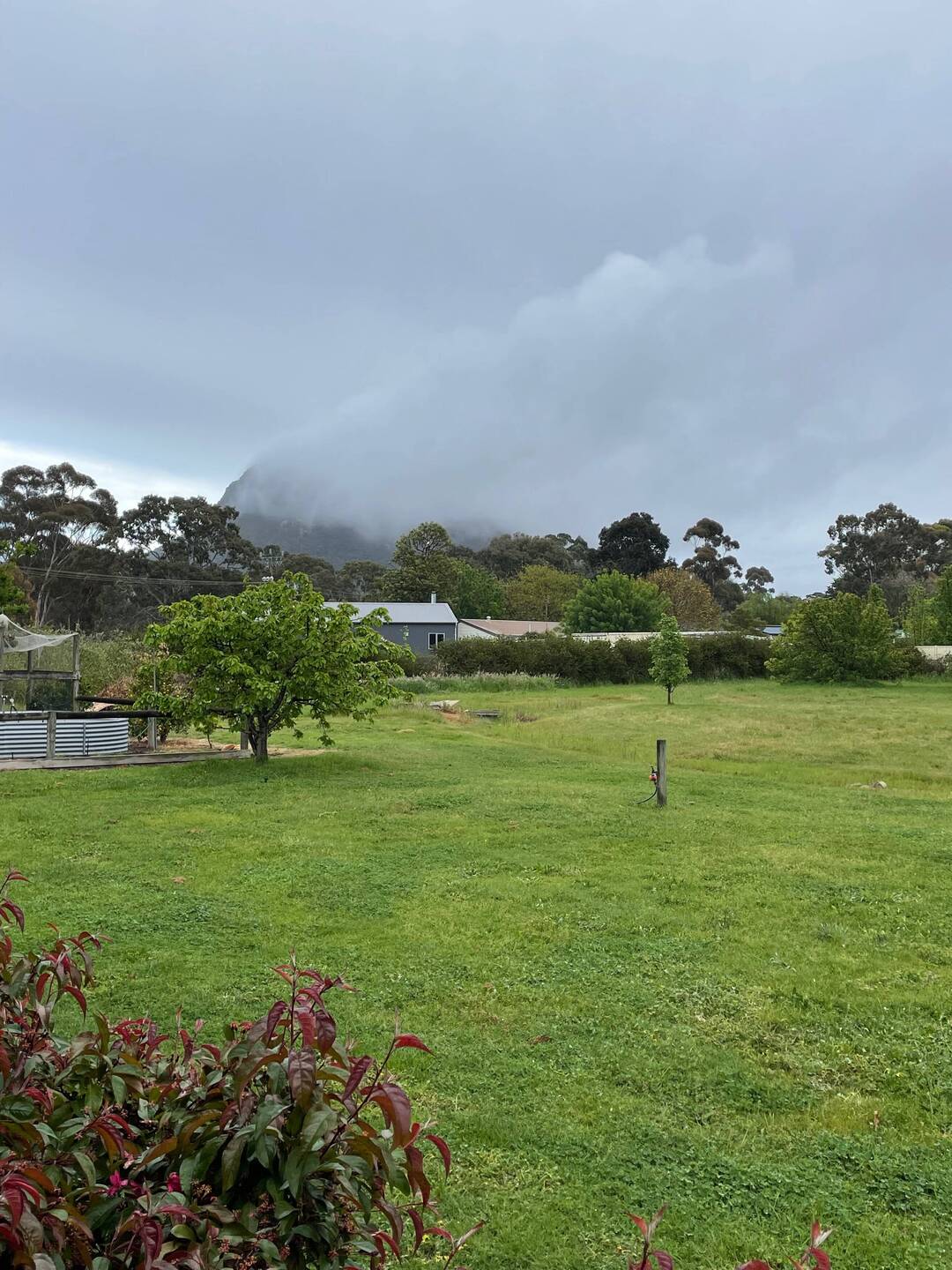 Mt Sturgeon in cloud this morning