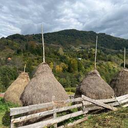 Haystacks