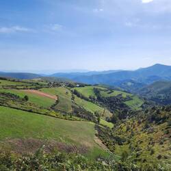 Looking back as far as we can from where we came from