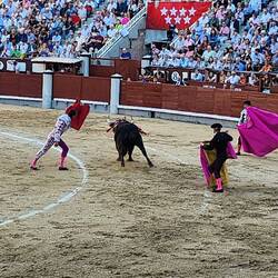 If you look closely, you'll see the bull has been pierced by several darts