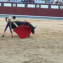 out comes the matador to make the final slaying of the bull