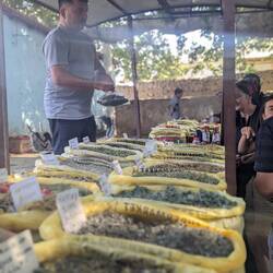 A tea seller in Nohur