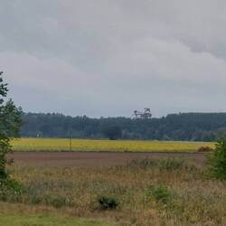 Wir sehen den ersten Braunkohle Bagger!