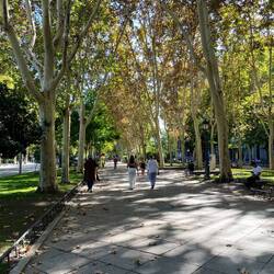 Lovely Boulevard near the Prado