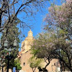 Kathedrale von Córdoba