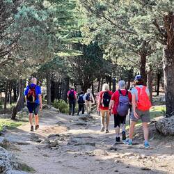 The decline was also quite difficult