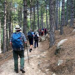 Hi ho, hi ho, it's up the mountain we go