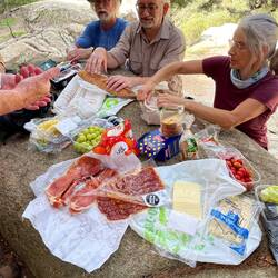 Picnic lunch - delicious