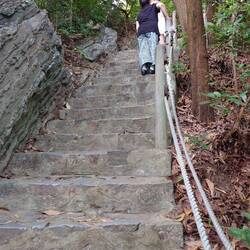 For little people they are bloody big steps