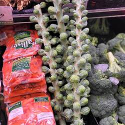 Wie wäre es mit Rosenkohl?