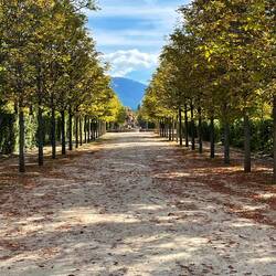 Another long formal path