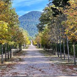 Long broad paths in all directions, surrounded by mountains