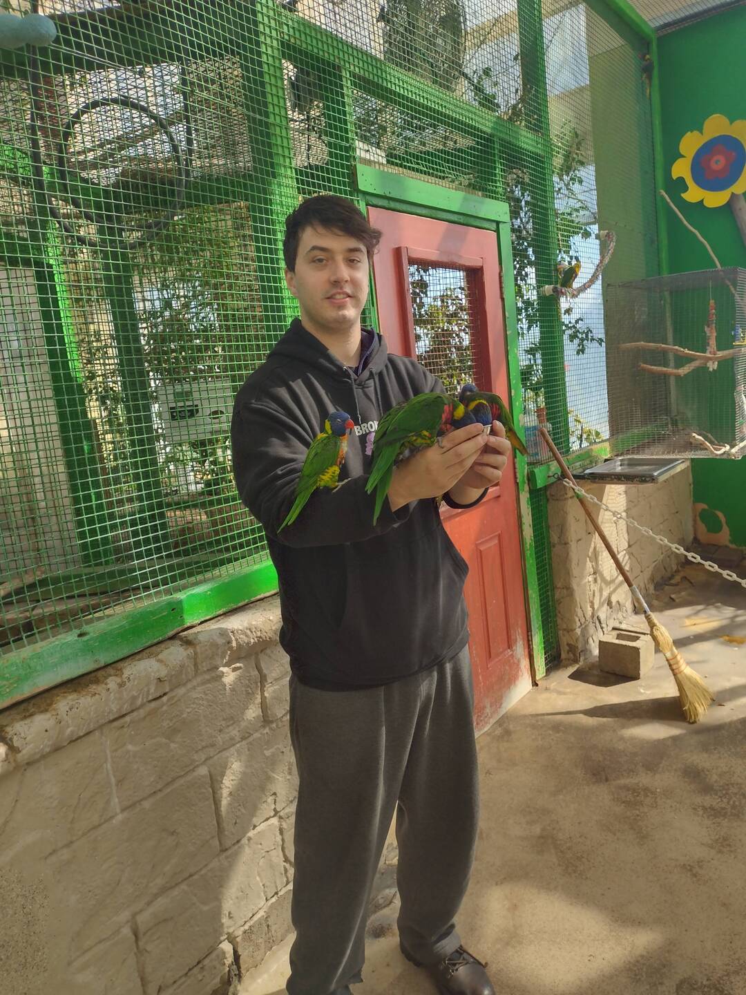Feeding the lorikeets at Bird Kingdom