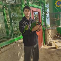 Feeding the lorikeets at Bird Kingdom