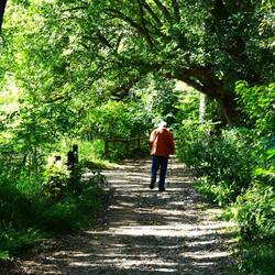 this gentleman randomly stopped me to tell me about the eagles for like 30 minutes