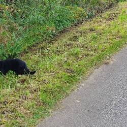 die passt auch noch zum heutigen Tag...