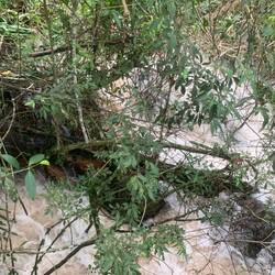 Hochwasser