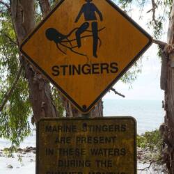 Warnschild vor Würfelquallen und eine Flasche Essig, falls schon etwas passiert ist