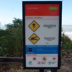 Wenn einen die Würdelquallen verschonen, gibts ja aber auch noch Krokodile