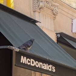Das Q in McDonald's steht für Qualität