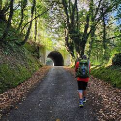 Pat's been wanting to walk through a tunnel.