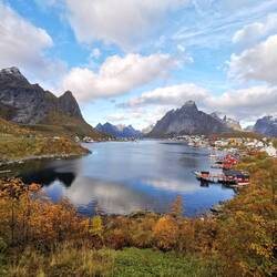 Reine