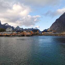 Sakrisøy