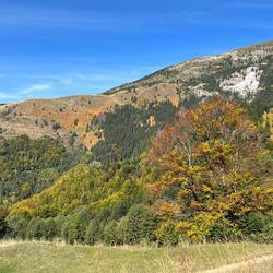 Beautiful scenery and colours