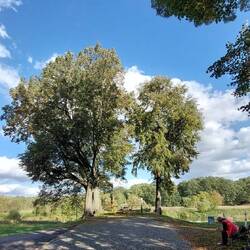 Wieder eine von vielen schönen Sitzgelegenheiten!