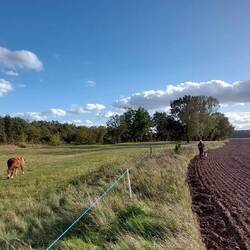 Für einige Zeit auf Abwegen!😁