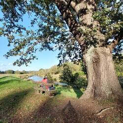 Wieder eine Bank an der richtigen Stelle!👍