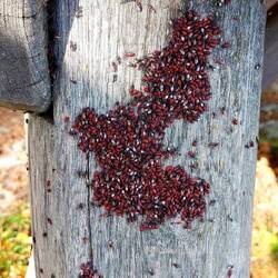 Aber wir ziehen um, die Bank ist verseucht!🙄