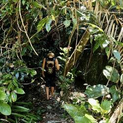 Into the deep dark rainforest