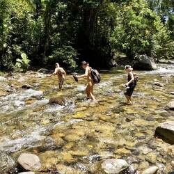 Wading through streams