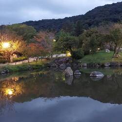Maruyama park at night
