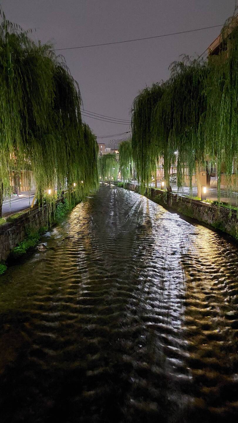 Rainy night atmosphere next to a small river with willows