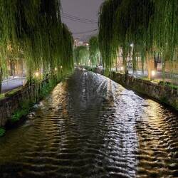 Rainy night atmosphere next to a small river with willows