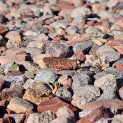 Wo bist du? Was bist du?