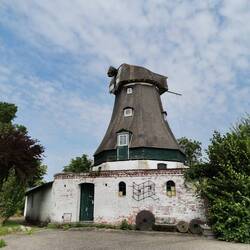 Nr.6 ein trauriger Anblick